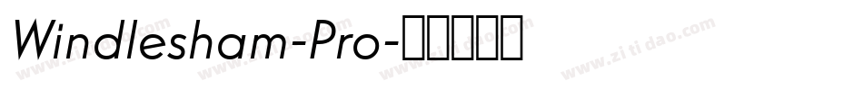 Windlesham-Pro字体转换