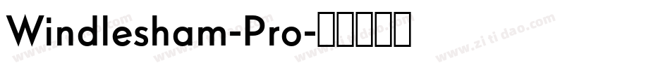 Windlesham-Pro字体转换