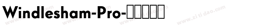 Windlesham-Pro字体转换