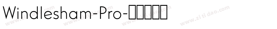 Windlesham-Pro字体转换