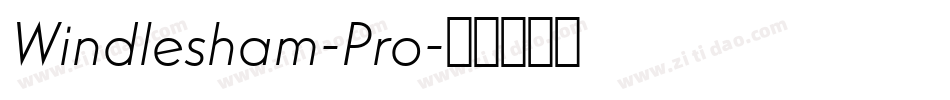 Windlesham-Pro字体转换