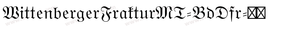 WittenbergerFrakturMT-BdDfr字体转换