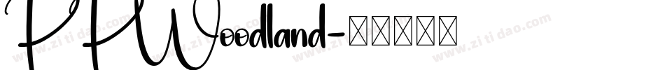 PPWoodland字体转换
