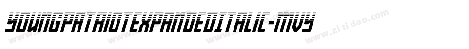 YoungPatriotExpandedItalic-MVY2n字体转换
