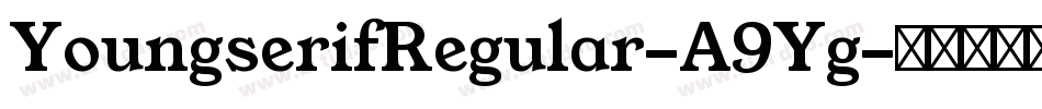 YoungserifRegular-A9Yg字体转换