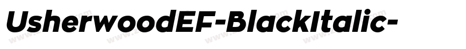 UsherwoodEF-BlackItalic字体转换
