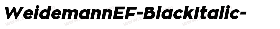 WeidemannEF-BlackItalic字体转换