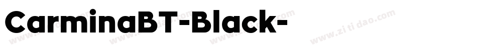 CarminaBT-Black字体转换