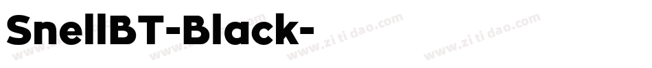 SnellBT-Black字体转换