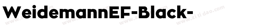 WeidemannEF-Black字体转换