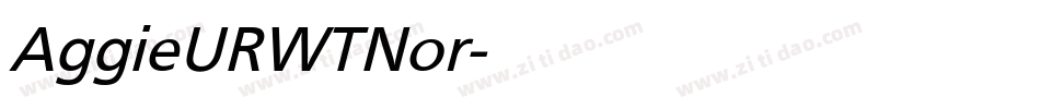 AggieURWTNor字体转换