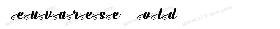 Neuvarese-BoldI字体转换