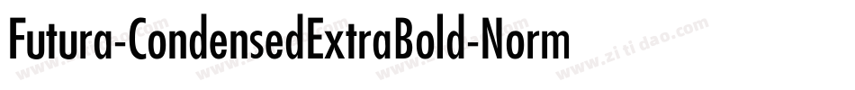Futura-CondensedExtraBold-Normal字体转换