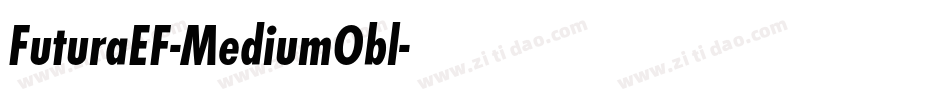 FuturaEF-MediumObl字体转换
