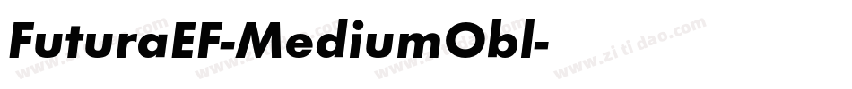 FuturaEF-MediumObl字体转换