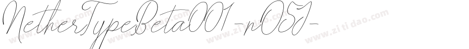 NetherTypeBeta001-nO5J字体转换