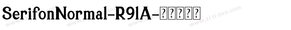 SerifonNormal-R9lA字体转换