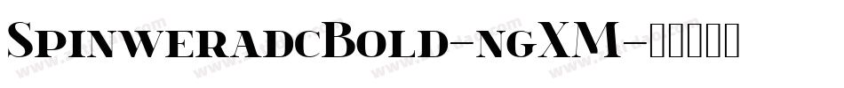 SpinweradcBold-ngXM字体转换