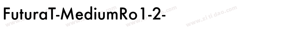 FuturaT-MediumRo1-2字体转换
