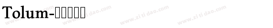 Tolum字体转换