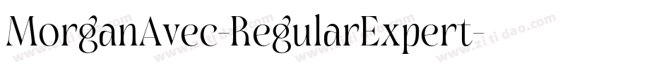 MorganAvec-RegularExpert字体转换