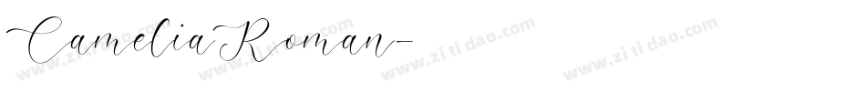 CameliaRoman字体转换