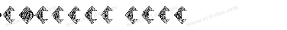DuoDunkel-ywee字体转换