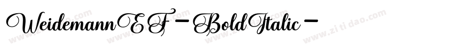 WeidemannEF-BoldItalic字体转换