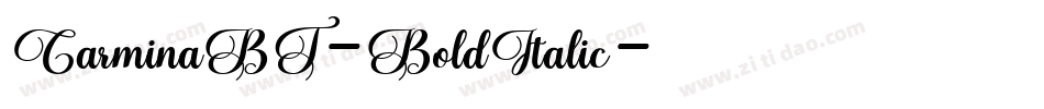 CarminaBT-BoldItalic字体转换