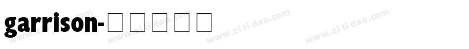garrison字体转换