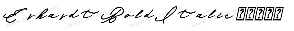 Erhardt-BoldItalic字体转换