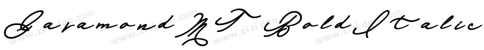 GaramondMT-BoldItalic字体转换