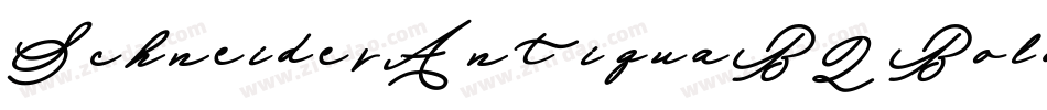 SchneiderAntiquaBQ-BoldItalic字体转换