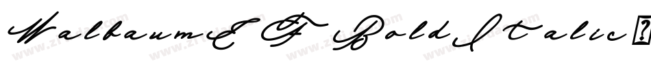 WalbaumEF-BoldItalic字体转换
