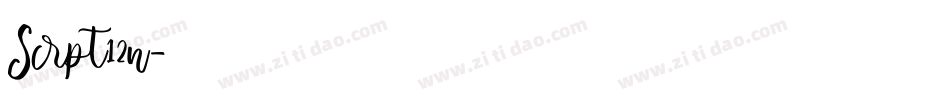 Scrpt12n字体转换