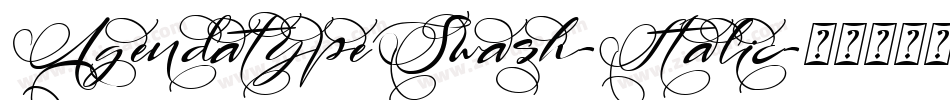 AgendatypeSwash-Italic字体转换