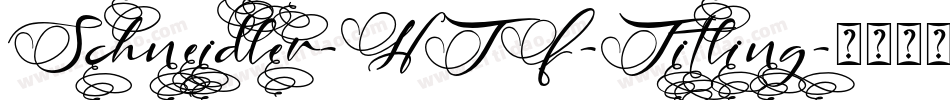 Schneidler-HTF-Titling字体转换