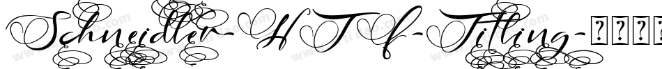 Schneidler-HTF-Titling字体转换