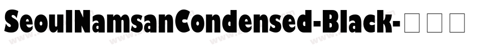 SeoulNamsanCondensed-Black字体转换