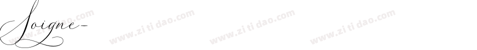 Soigne字体转换