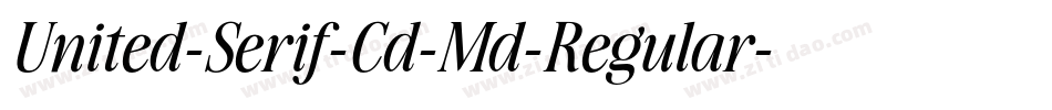 United-Serif-Cd-Md-Regular字体转换