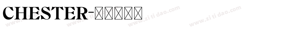 CHESTER字体转换