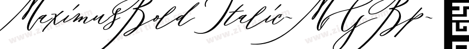 MaximusBoldItalic-MGBp字体转换