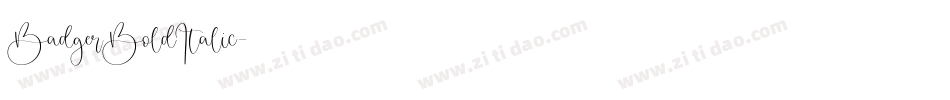 BadgerBoldItalic字体转换