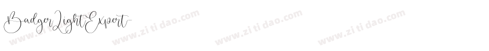 BadgerLightExpert字体转换