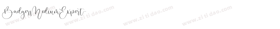 BadgerMediumExpert字体转换