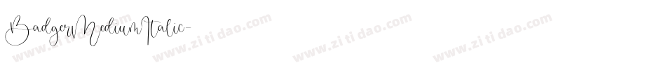 BadgerMediumItalic字体转换