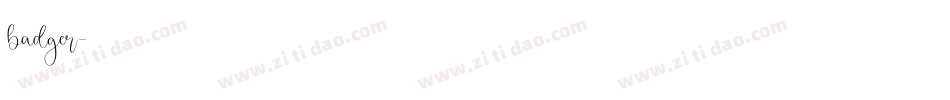 badger字体转换