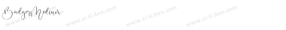 BadgerMedium字体转换