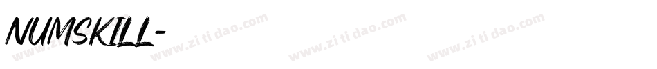 NUMSKILL字体转换